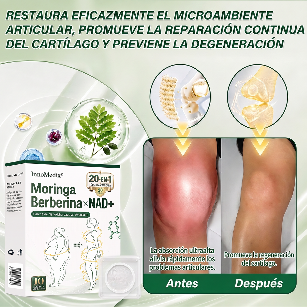 InnoMedix® Moringa Berberina x NAD+ 20-EN-1 Parche Avanzado de Nano-Microagujas (Aplicar solo una vez al día – cambios visibles en tan solo 7 días.)🔥💚